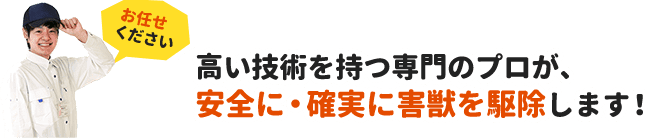 お任せください。高い技術を持つ専門のプロが、安全に・確実に害獣を駆除します。