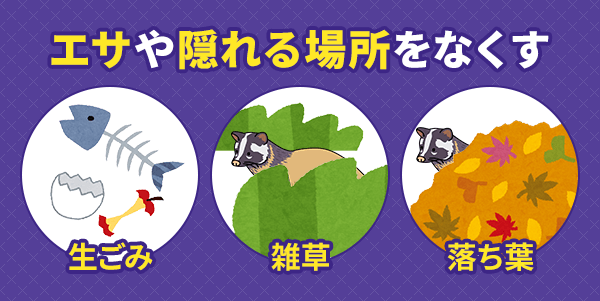 侵入されないように対策したら、ハクビシンが寄り付かない環境を作りましょう。