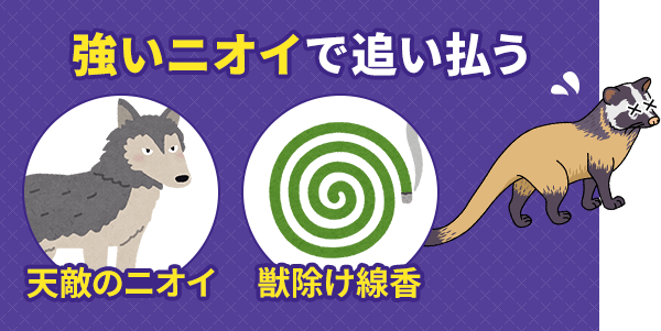 屋根裏や床下などに侵入されているときは?