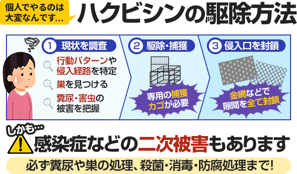 ハクビシンを個人で駆除するのは大変です。まず、現状を調査し、次に駆除・捕獲を行い、最後に侵入口を封鎖します。しかも感染症などの二次被害もあるので、必ず糞尿や酢の処理、殺菌・消毒・防腐処理まで行う必要があります。