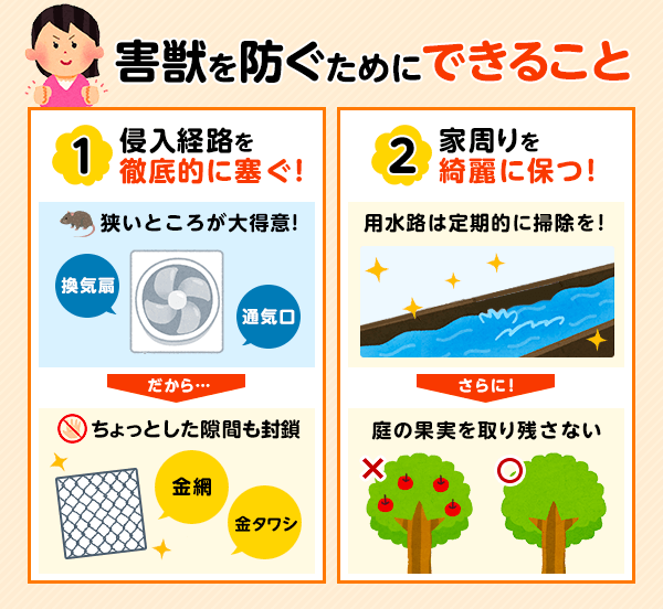 害獣を防ぐには、侵入経路を塞ぐこと、家回りをきれいに保つことが大事です