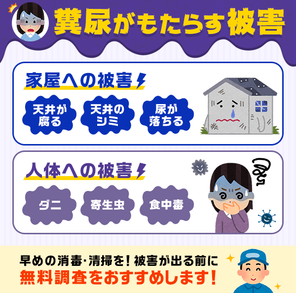 糞尿がもたらす被害。家屋だけでなく人体にも被害が。早めの対策、無料調査をおすすめします