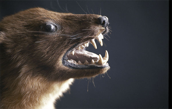 危険が伴います