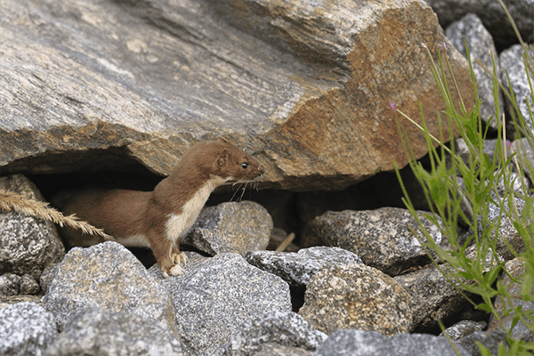 失敗すればするほど警戒心を強めてしまいます