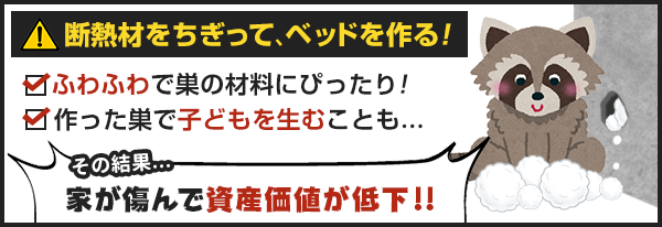 アライグマが家の断熱材をちぎってベッドを作ることがあります。断熱材はふわふわで巣の材料に適し、作られた巣で子供が生まれることもあります。その結果、家が傷んで資産価値が低下します。