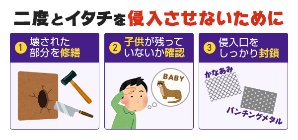 二度とイタチを侵入させないために、壊された部分の修繕や取り残されたイタチの子供がいないか確認、侵入口をしっかり封鎖することが必要です。