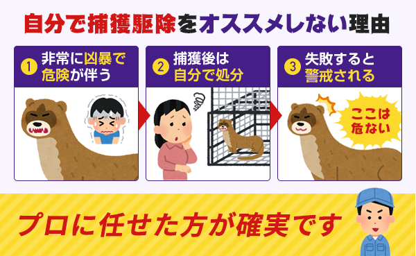 自分で捕獲駆除をオススメしない理由