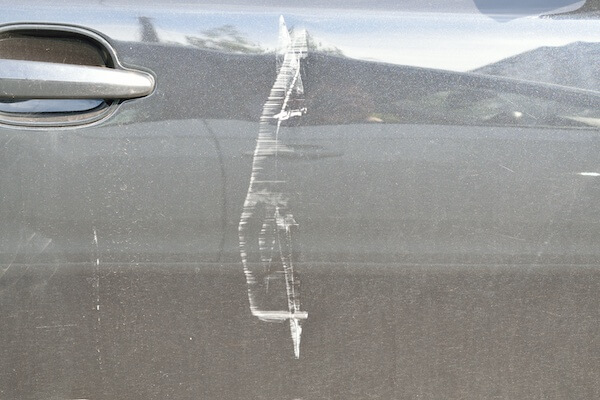 害獣による車の損傷